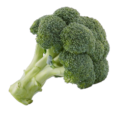 Broccoli